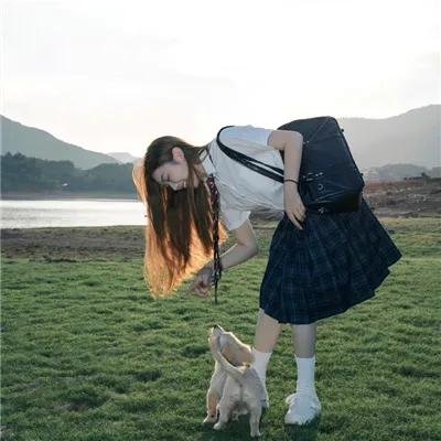 飞吧!